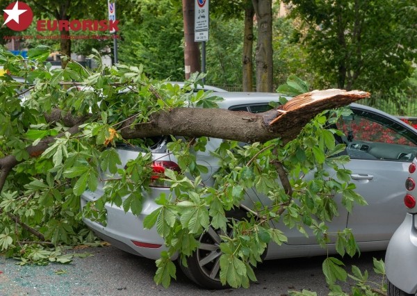Figyeld az előrejelzéseket!